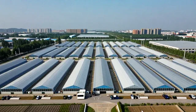 PE防潮包装袋性能优势与适用场景解析